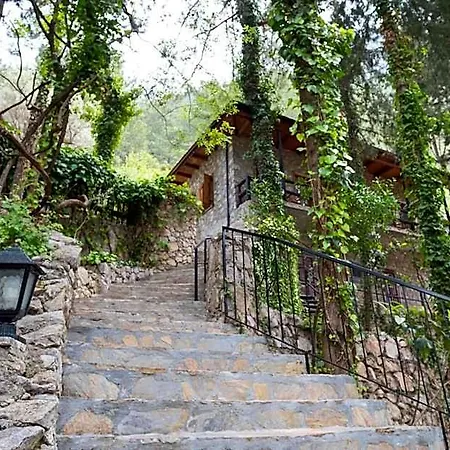 Watermill Hotel فندق فتحية